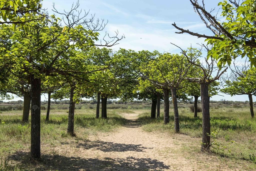 Domaine Les Muriers Vendres Esterno foto