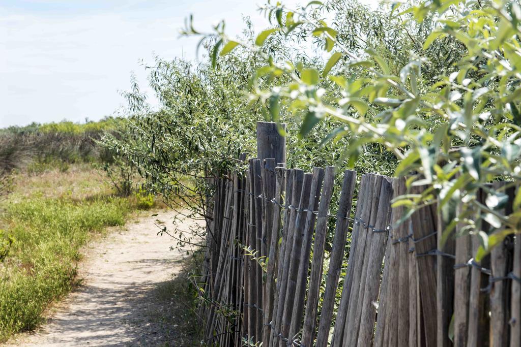 Domaine Les Muriers Vendres Esterno foto
